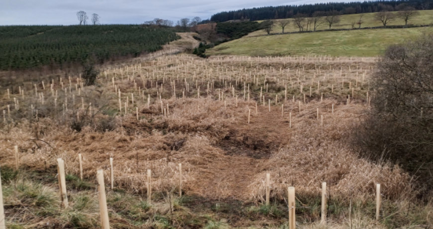 Volunteers Dig In to Create Native Woodland at Scottish Water site